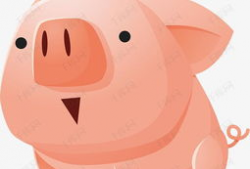 猪猪动漫,萌趣横生的奇幻世界之旅